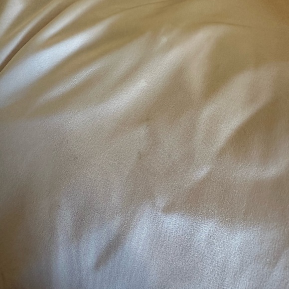 NBD Francine Gown in blush - Picture 6 of 8